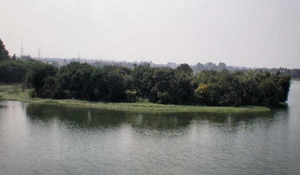 Hebbal Lake